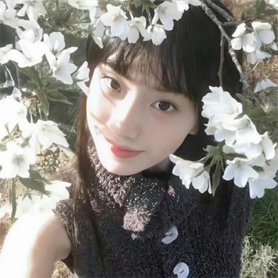 八载春秋烬如霜